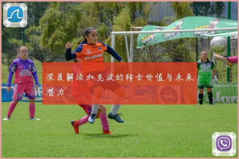 深度解读加克波的转会价值与未来潜力